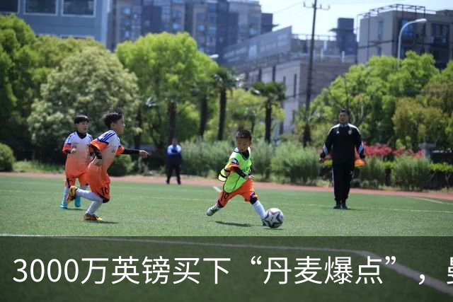 3000万英镑买下“丹麦爆点”，曼联这笔引援血赚